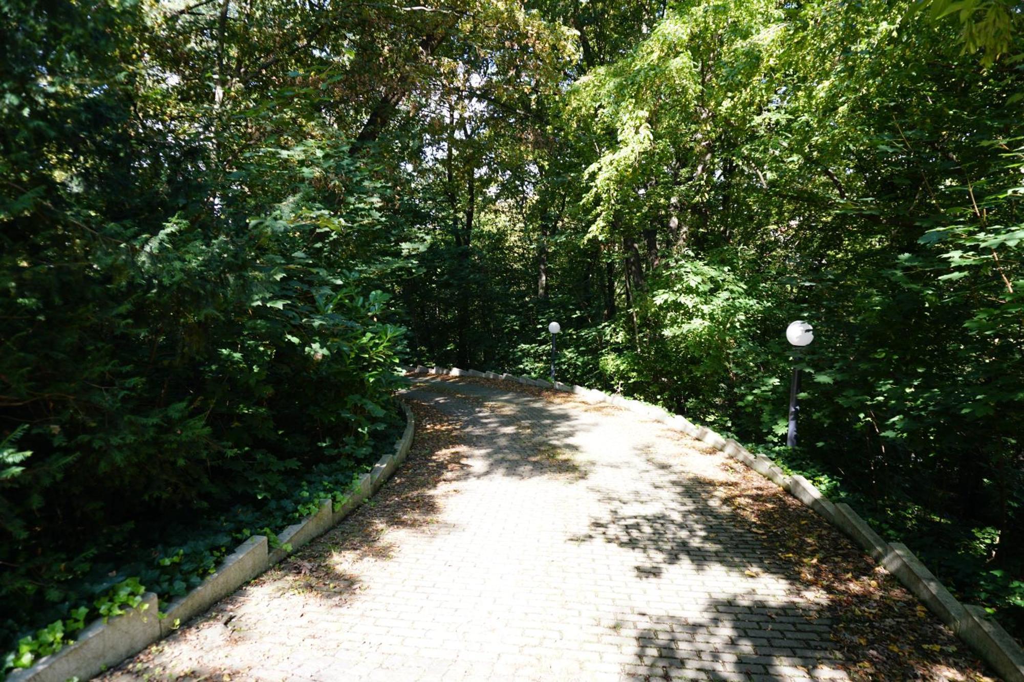 Villa Via Lapis - Panoramablick Ueber Dresden - Garten - Pool - Sauna - Luxus Ngoại thất bức ảnh